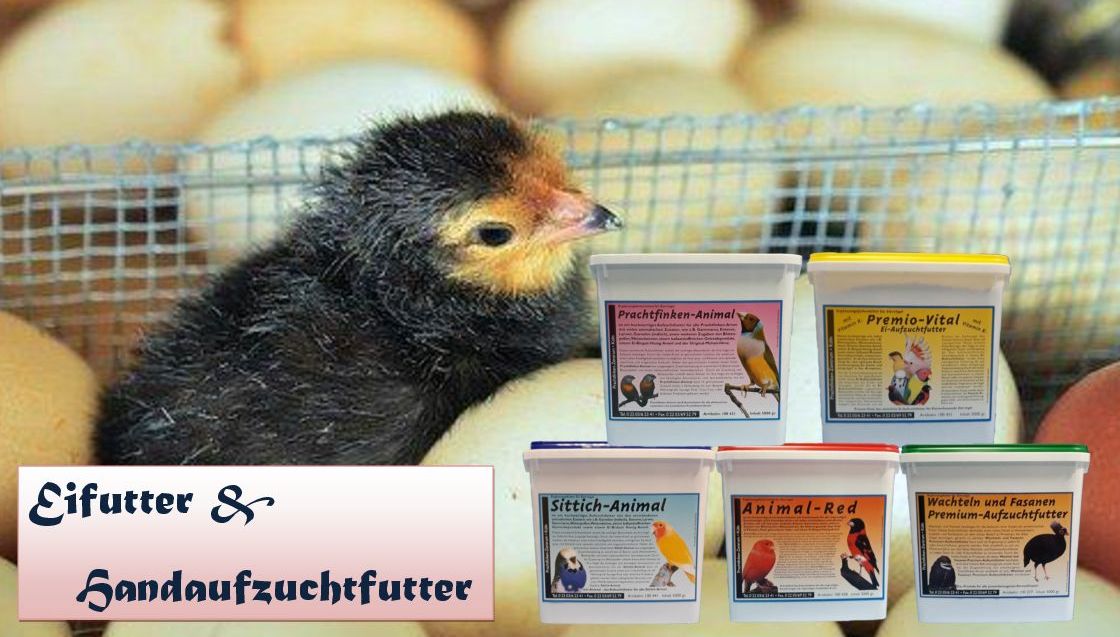 Eifutter. Handaufzuchtsfutter & Kropdkanülen